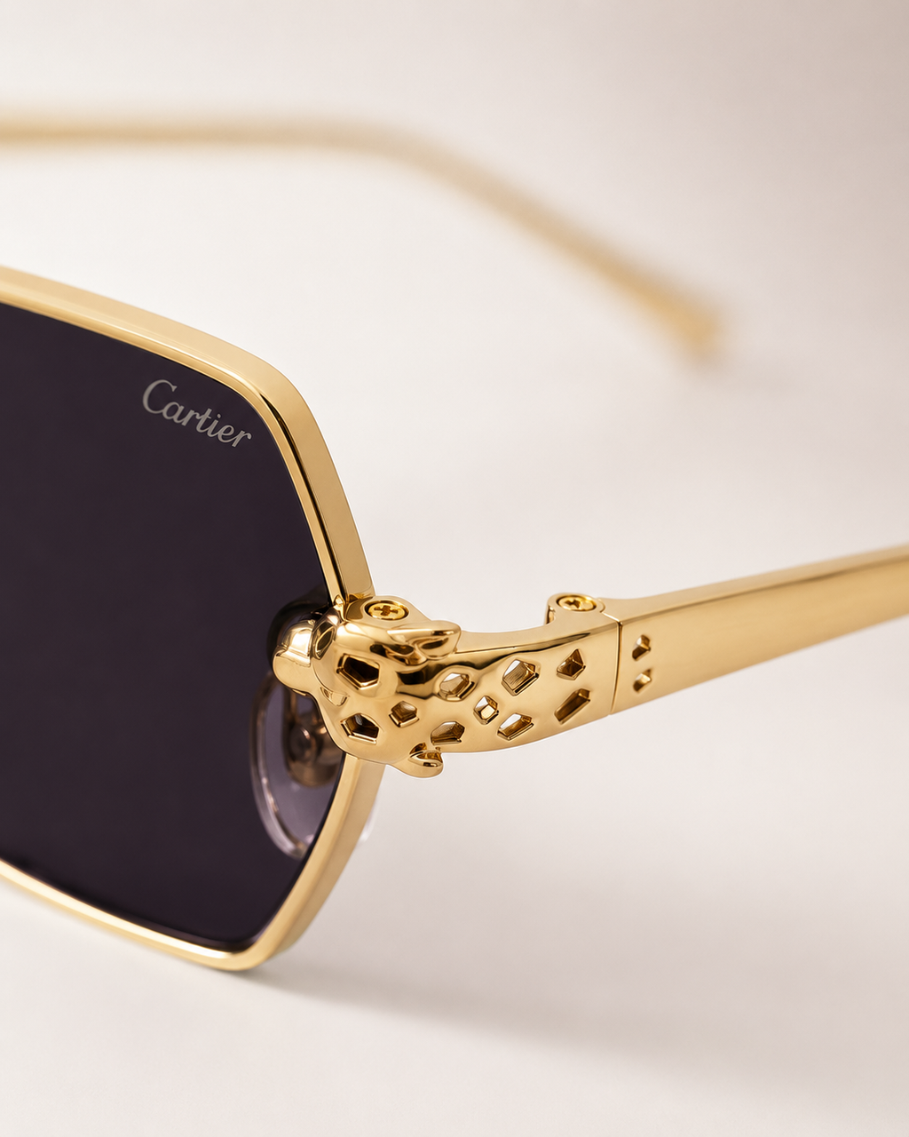 CR Spotted Panther Geometric Sunglasses